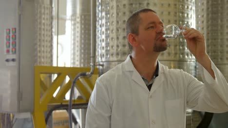 male worker examining liquor in factory 4k