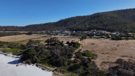 aerial view of small bicheno town in tasmania during sunny day in summer