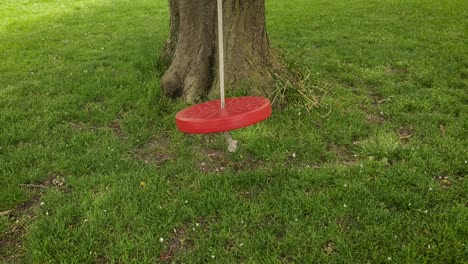 a-deserted-tree-swing-softly-swinging-in-a-light-breeze