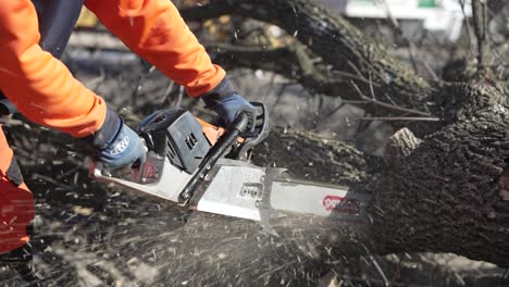 Holzfäller-Schneidet-Auf-Einer-Baustelle-Mit-Einer-Kettensäge-Bäume-In-Zwei-Hälften