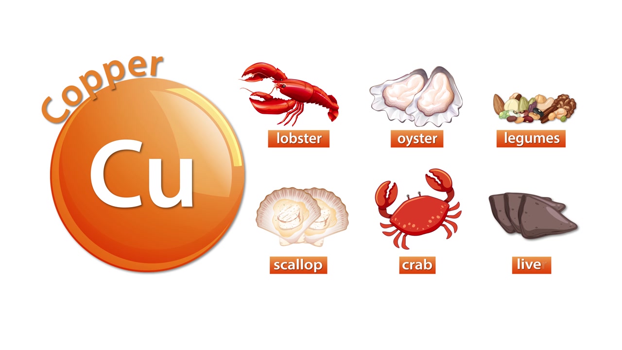 Animated copper element icon with lobster, oyster, legumes, scallop, crab, liver on white background