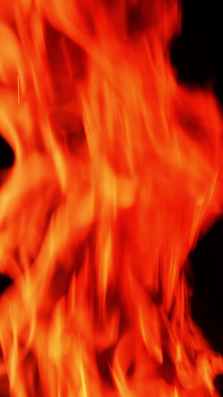 Burning campfire on the total black backdrop. Little orange flames going up quickly. Vertical video