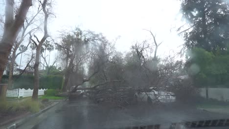 Baum-Fällt-Auf-Straße-Und-Blockiert