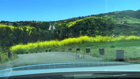 4k 60p, drivers view, driving down a step hilltop road with yellow wild flowers on a summer day