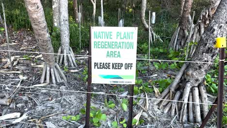 native plant regeneration area