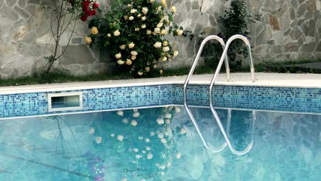 luxury swimming pool and blue water reflection, background loop, cinematic