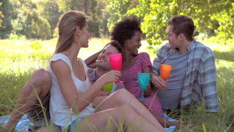 four friends drinking in the countryside and making a toast