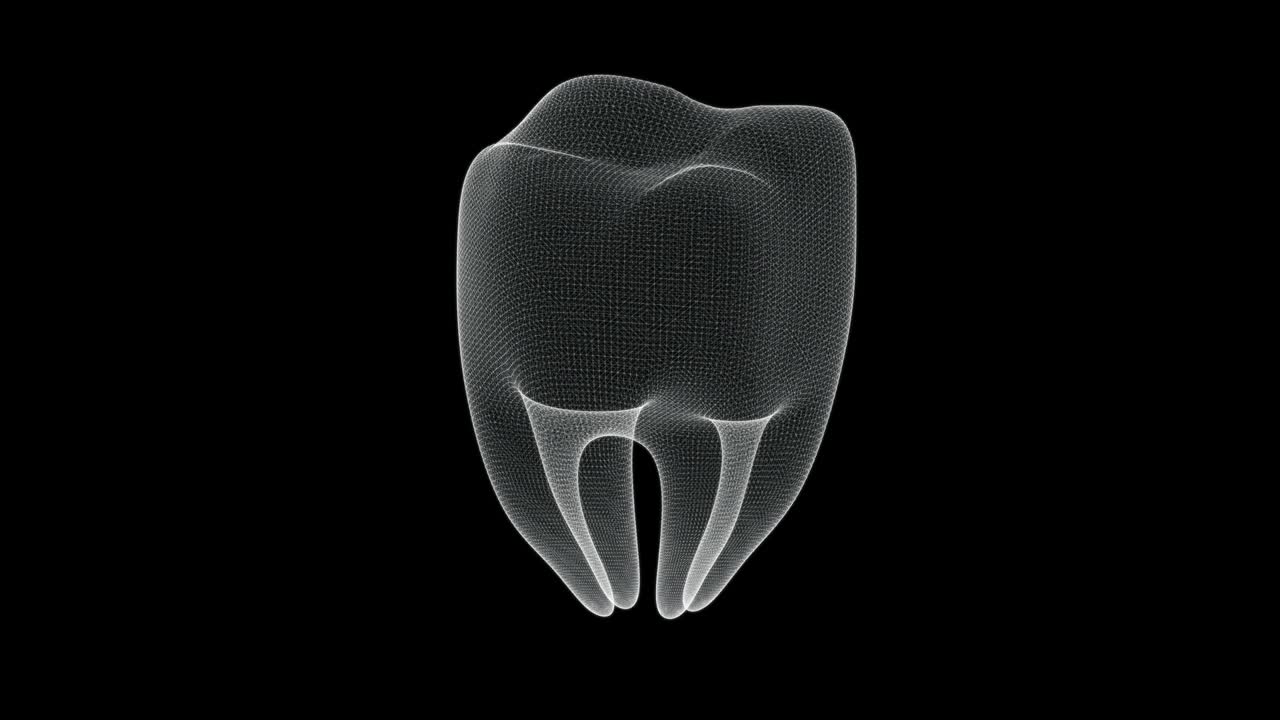 pantalla holográfica 3d de un diente molar del cuerpo humano - bucle
