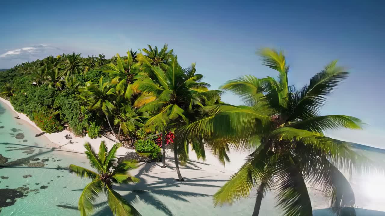 Video aereo di una spiaggia tropicale con palme lussureggianti e sabbia bianca, ripreso dall'alto.
