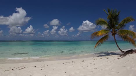 tropical beach paradise