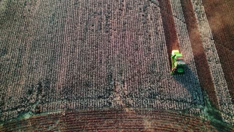 top-down view of a combine harvester working in a cotton field in georgia