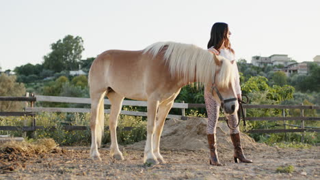 woman and horse in a countryside setting