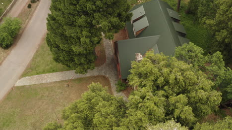 drone zoom out leve inclinación hacia abajo vista de los árboles que rodean una cabaña de alojamiento público dentro del bosque nacional plumas en california