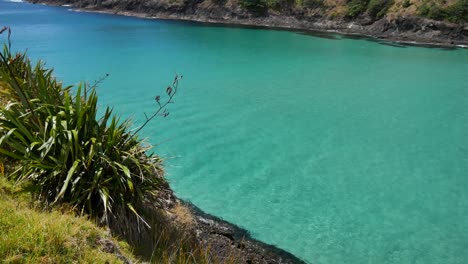 wunderschönes türkisfarbenes wasser der spirits bay in neuseeland an sonnigen tagen - schwenkaufnahme