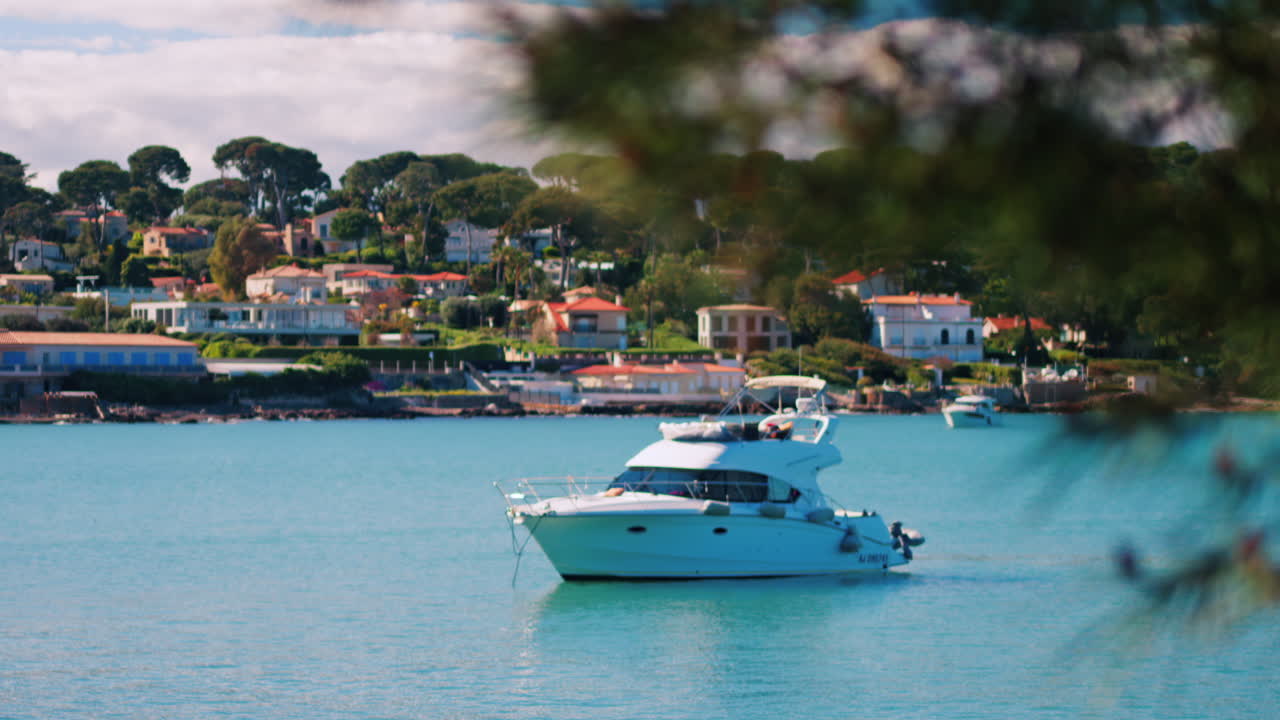 Close up of a green tree branch with a blurry view of boats floating on the sea