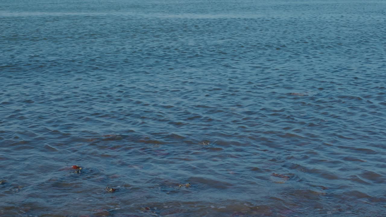 близкий вид морской воды