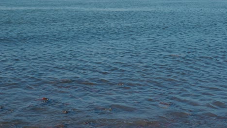 close-up view of sea water