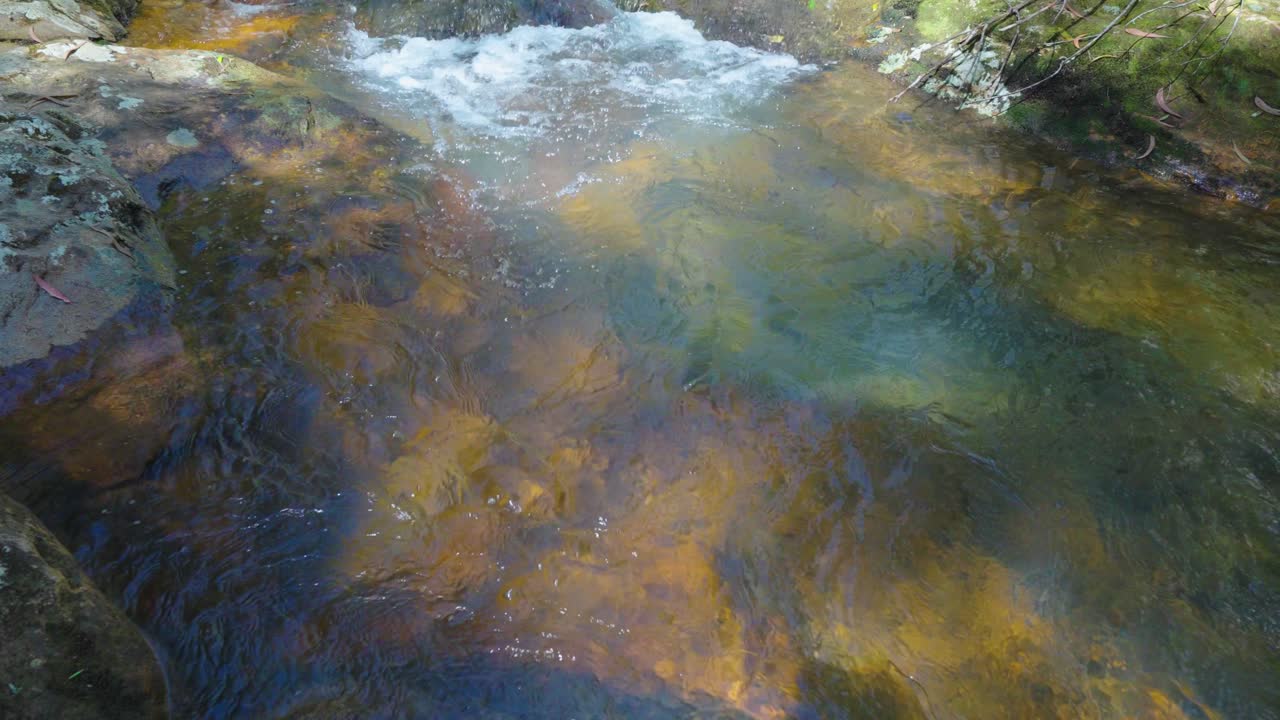corriente de agua del parque nacional springbrook a cascadas, costa dorada, queensland, australia