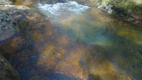 Corriente-De-Agua-Del-Parque-Nacional-Springbrook-A-Cascadas,-Costa-Dorada,-Queensland,-Australia