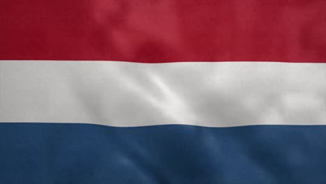 national flag of netherlands blowing in the wind. seamless loop