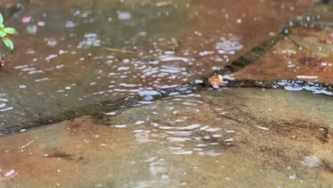 close up of rain water drops falling into big puddle on stones, flooding the street climate change concept