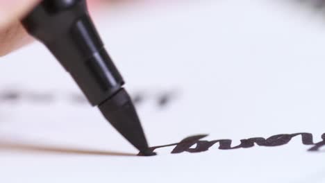 a detailed look at the art of calligraphy showcasing intricate penmanship