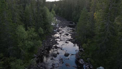 Trockener-Fluss-Im-Wald