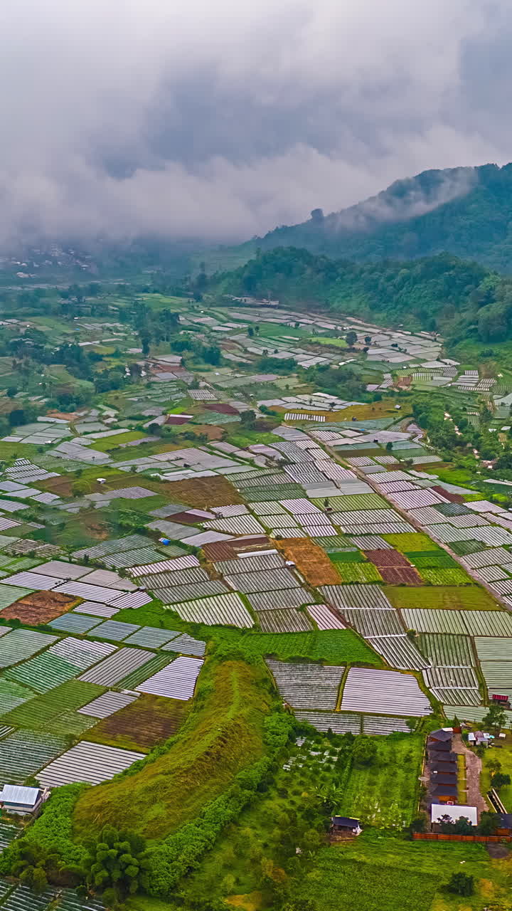 Bali's lush farmland, with vibrant, patchwork fields under cloudy skies, aerial view, hyperlapse