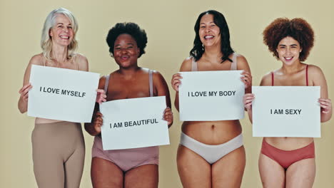 Beauty,-diversity-or-body-positivity-poster