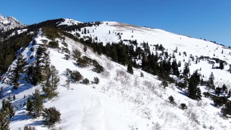 AWESOME-AERIAL-VIEW-OF-HIGH-MOUNTAINS-AND-TREES-COVERED-IN-SNOW-IN-UTAH