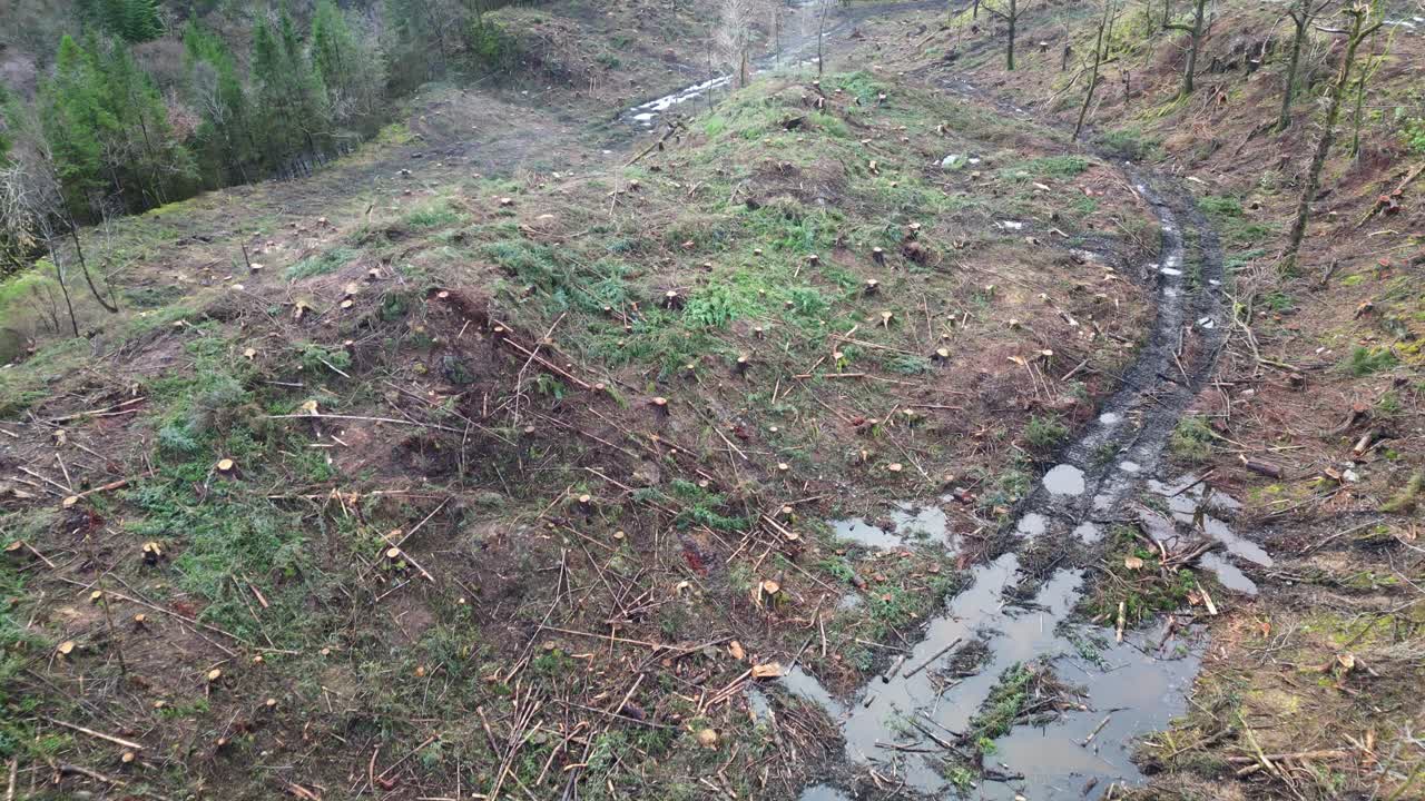 삼림 벌채로 인한 파괴를 보여주는 드론 영상