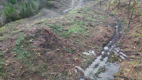 drone footage showing the destruction caused by deforestation