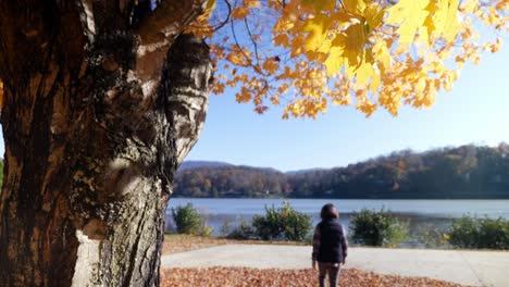 lake junaluska in fall, woman walks in