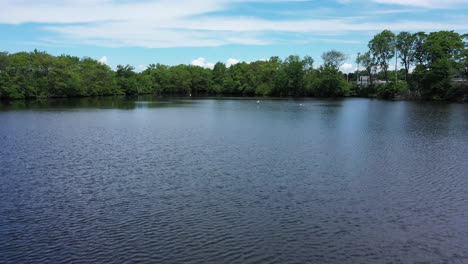 A-low-angle-shot-over-a-pond,-the-camera-dolly-in-and-elevates