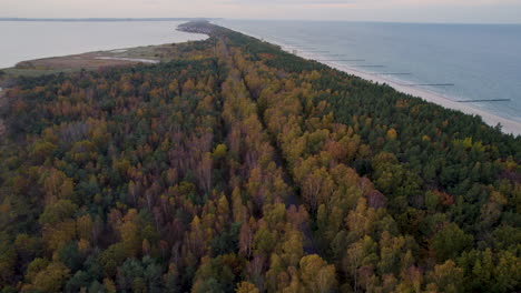 forested hel peninsula with beach and sea from above