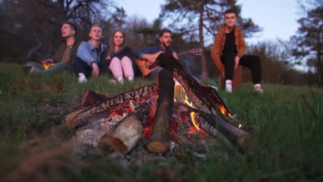 friends enjoying a campfire in the forest at dusk
