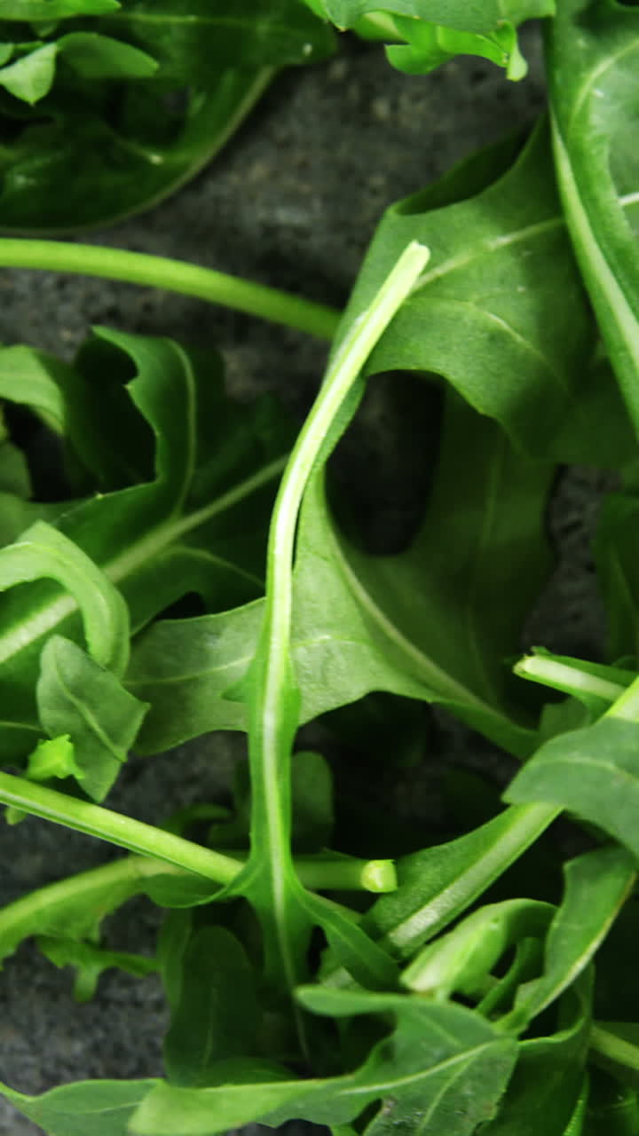 rúcula en el hormigón