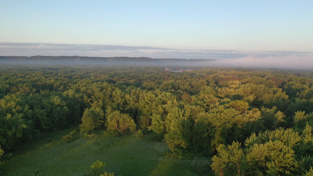 강과 숲 위의 안개가 가득한 아침