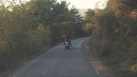 motorcycle ride through a forest at sunset