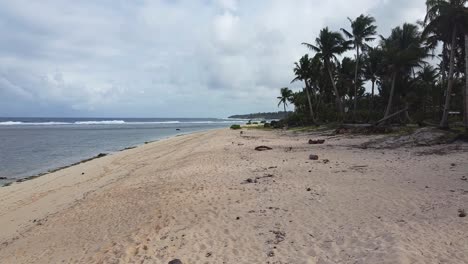 Flug-über-Sandstrand-Mit-Palmen