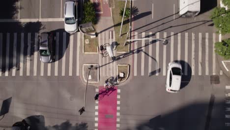 Vista-Superior-De-Drones-Siga-Una-Bicicleta-En-Un-Carril-Bici-En-Medio-De-Una-Avenida-Arbolada-En-São-Paulo,-Brasil