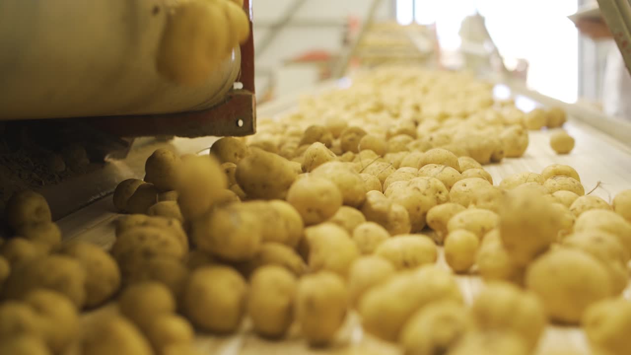 las patatas se están cayendo a pedazos, rodando.