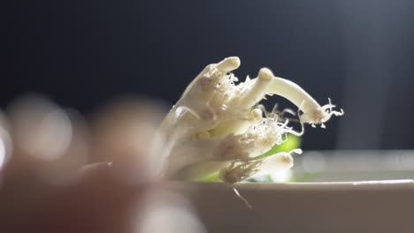 Close-up-shot-revealing-spring-onions-scallions-in-a-bowl