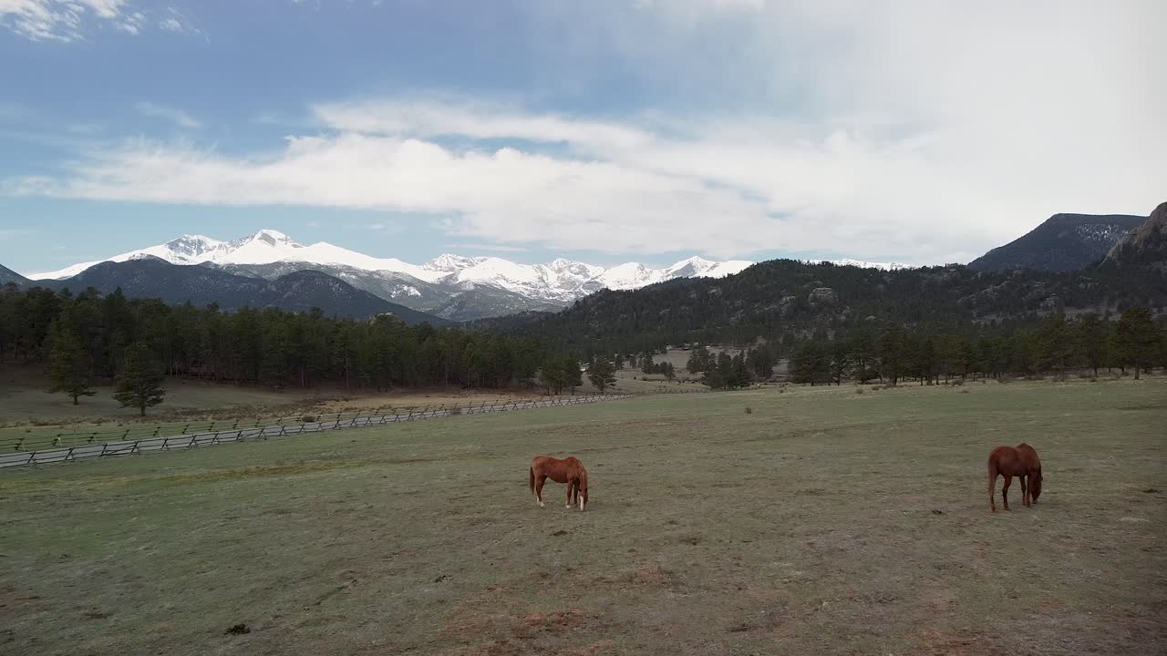 vista aérea de caballos comiendo en el pasto del rancho con montañas en el fondo, estes park, colorado
