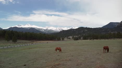 Vista-Aérea-De-Caballos-Comiendo-En-Pastos-De-Rancho-Con-Montañas-Al-Fondo,-Estes-Park,-Colorado