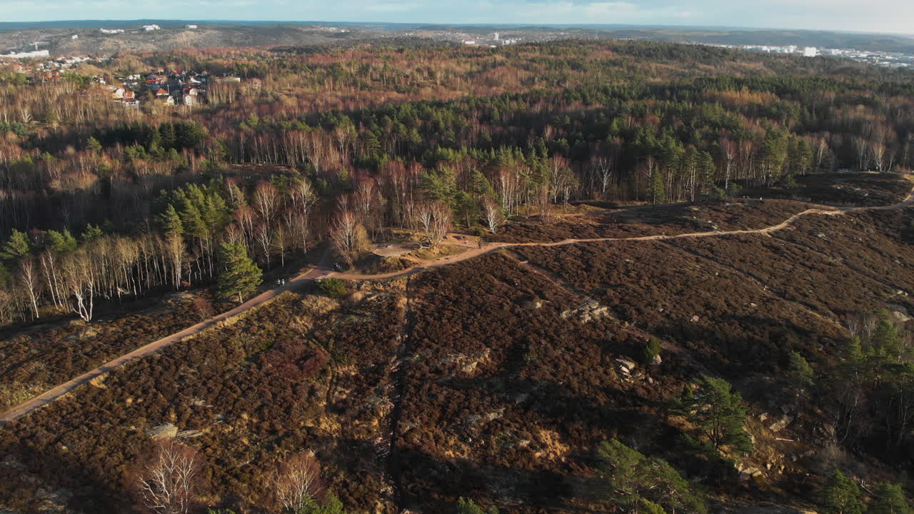 toma en órbita aérea de un bosque que explota la deforestación con un cielo azul, concepto de conservación