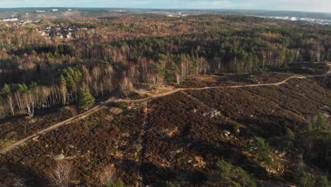 aerial orbit shot of a forest exploit deforestation with a blue sky, conservation concept