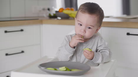 cute baby boy eating avocado slices sitting in high chair in the kitchen