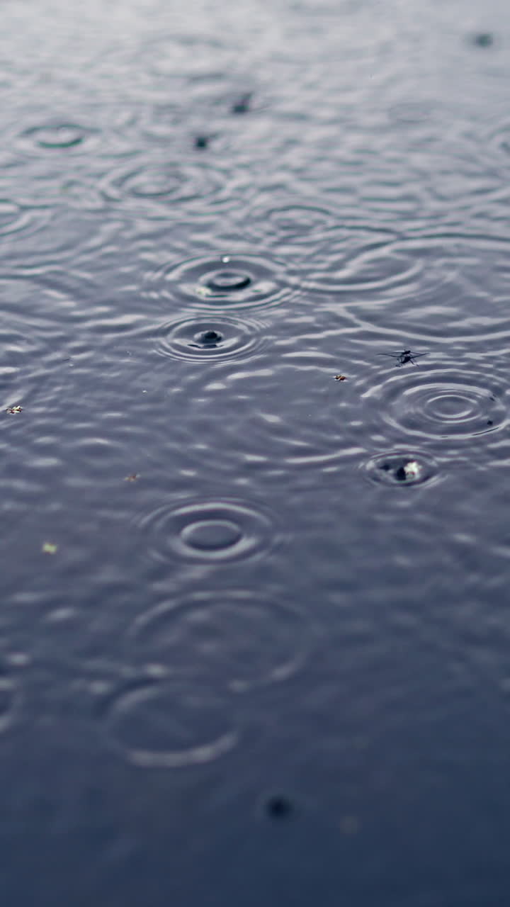 Water drops on river surface. Ripples from rain droplets falling on water surface. Vertical video