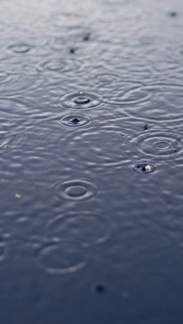 water drops on river surface. ripples from rain droplets falling on water surface. vertical video